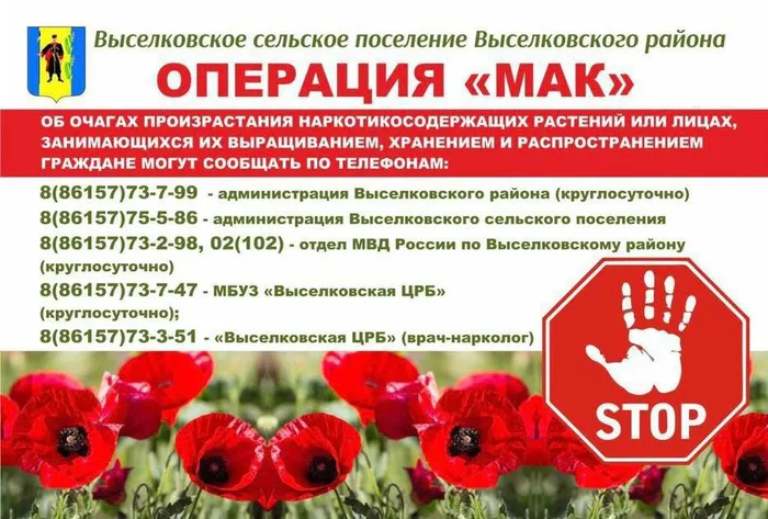 операция "Мак-2024"